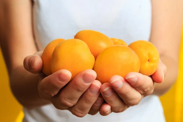 Woman in white t-shirt is holding fresh sweet apricots in his hands — Stock Photo, Image
