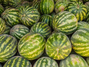 Buhara, Özbekistan'a çarşı, olgun karpuz