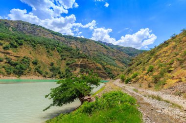 Ağaç Irmak, Özbekistan'ın peyzaj