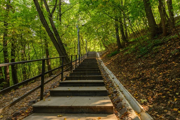 Escaleras de madera en el parque —  Fotos de Stock