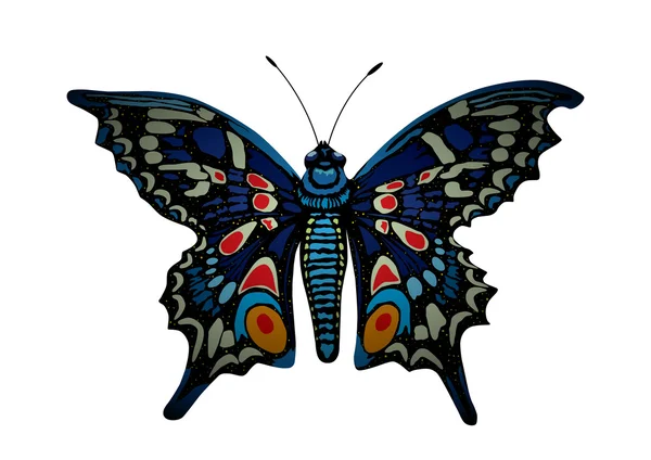 Farfalla colorata . — Vettoriale Stock