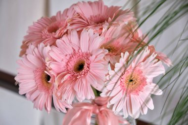 Pastel renkli papatyalar ve cam kavanozlarda okaliptüs yaprakları olan bir düğün için kırsal dekor.