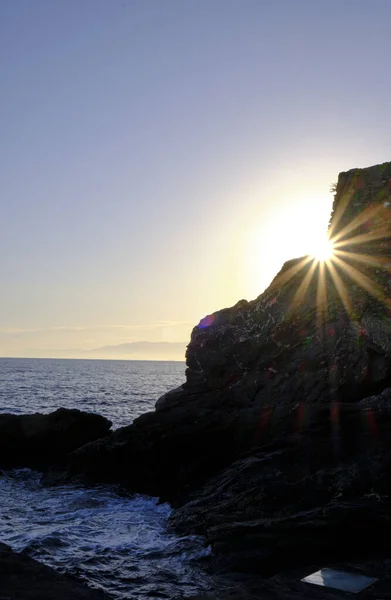 sun-star on the rocks of the coastline of camogli