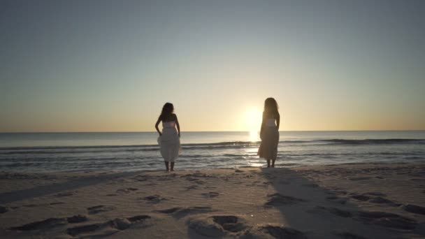 Duas Amigas Multirraciais Abraçando Vida Natureza Praia Olhando Para Sol — Vídeo de Stock