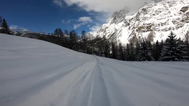 Uhd Dół Pov Snowboardzisty Schodzi Trasy Przez Drzewa Osiągnięcia Pokonanego — Wideo stockowe