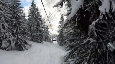 Arka planda Mont Blanc ve bir kayakçının pistten ayrıldığı kar dolu köknar ağaçlarının arasında kayak pistinin tepesine tırmanırken arkadan çekilen kamera aşırı hız yapıyor.