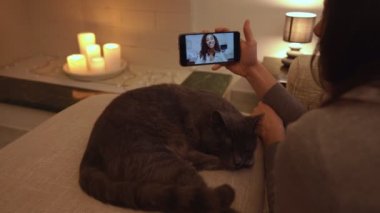 Kanepede kanepede mumlarla dinlenen genç bir kadın İspanyol en iyi arkadaşıyla video görüşmesinin keyfini çıkarırken kedi de ona yakın kanepede uyuyor. Video konferans teknolojisi mesafeyi kısaltıyor