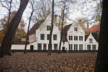 Bruges 'den sonbaharda binalarla güzel bir manzara.