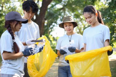 Bir grup Gönüllü Kamu Parkı Temizlemeye Yardım Ediyor Garaj ve Plastik Atık Topluyor