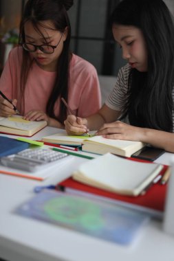 İki Asyalı kız öğrenci bir evde birlikte okuyorlar..