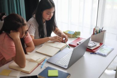 İki kadın öğrenci birlikte ödev yapıyor.