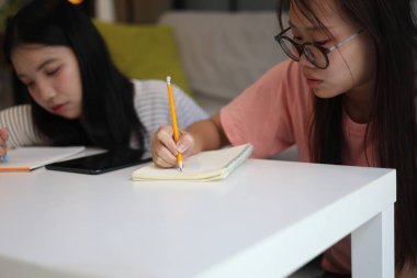 İki kadın öğrenci birlikte ödev yapıyor.