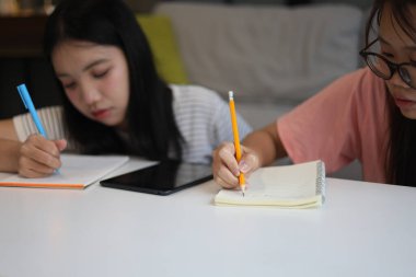 İki genç kız evde ders çalışırken not defterlerine yazıyorlar..