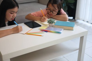 İki genç kız evde ders çalışırken not defterlerine yazıyorlar..