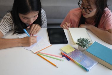 İki kadın öğrenci birlikte ödev yapıyor.