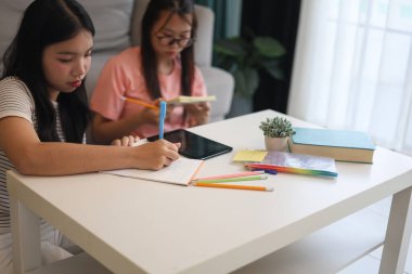 İki kadın öğrenci birlikte ödev yapıyor.