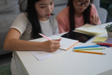 İki kadın öğrenci birlikte ödev yapıyor.