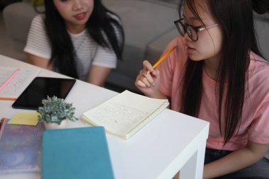 İki kadın öğrenci birlikte ödev yapıyor.