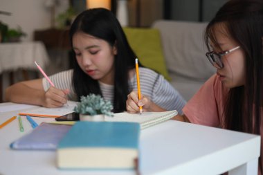 İki genç kız evde ders çalışırken not defterlerine yazıyorlar..