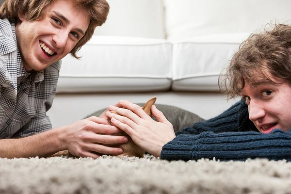 Twee jonge mannen strelen een beetje Chihuahua — Stockfoto