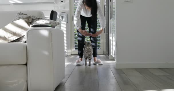Ung kvinna gör sin katt hoppa — Stockvideo