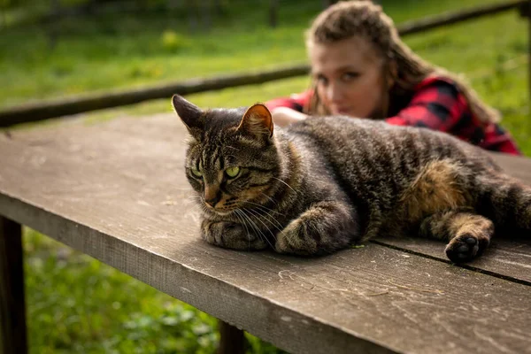 Jonge Kat Vrouw Met Echte Kat Kijken Naar Links Klaar — Stockfoto