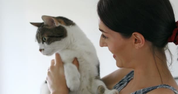 När en katt älskar en kvinna kan hon inte hålla tyst om nåt annat. — Stockvideo