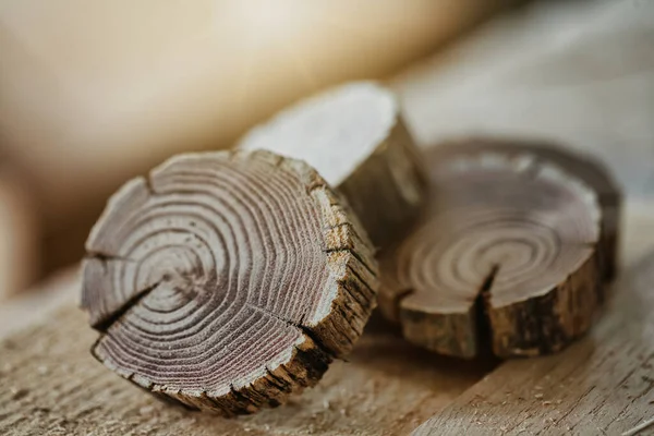 Dwarsdoorsnedes Van Oude Gedroogde Takken Stammen Die Een Werkbank Liggen — Stockfoto