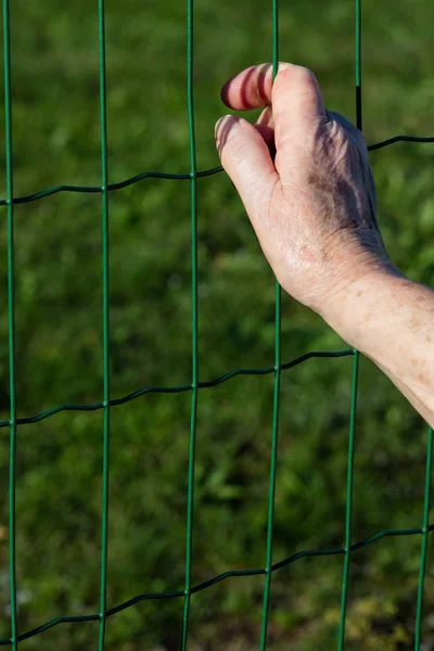 Die Hand einer betagten Frau an einem Zaun — Stockfoto