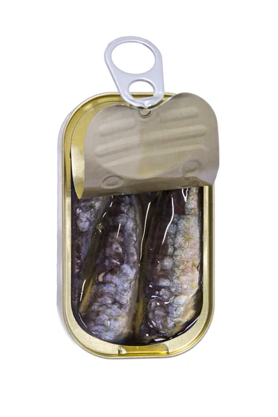 Plechovku sardinek, samostatný — Stock fotografie
