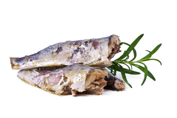God och läcker sardiner isolerade — Stockfoto
