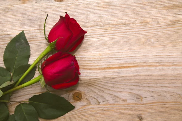 red roses on wood