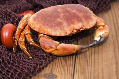 Balık ağı üzerinde Yengeç