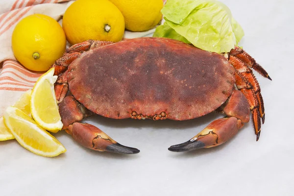 Krabbe mit Zitronen auf dem Tisch — Stockfoto