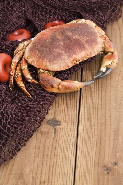 Caranguejo na rede de pesca — Fotografia de Stock