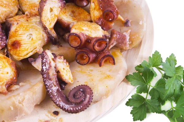 Octopus with potatoes, cooking Galicia — Stock Photo, Image