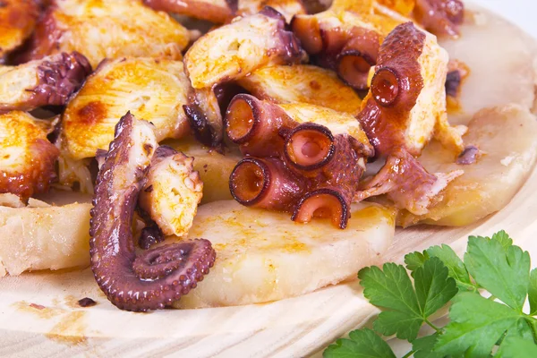 Mustekala perunoiden kanssa, ruoanlaitto Galicia — kuvapankkivalokuva