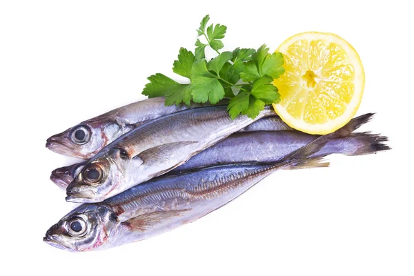 Natürlicher roher Fisch — Stockfoto