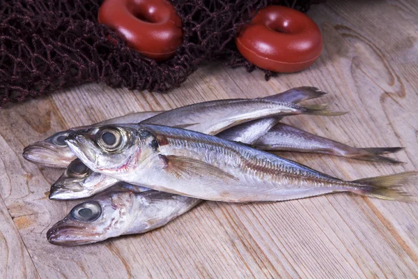 Wittling auf Holzboden und Fischernetz — Stockfoto