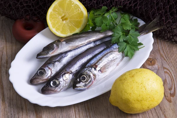 Taggmakrill med bakgrund — Stockfoto