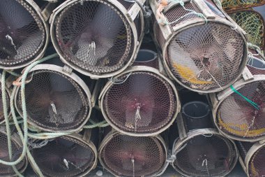 Denize dayanıklı ıstakoz tencere ile ipleri