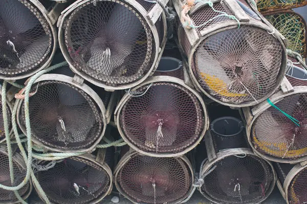 Denize dayanıklı ıstakoz tencere ile ipleri