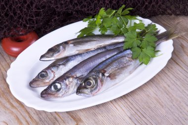  lezzetli mezgit ve uskumru