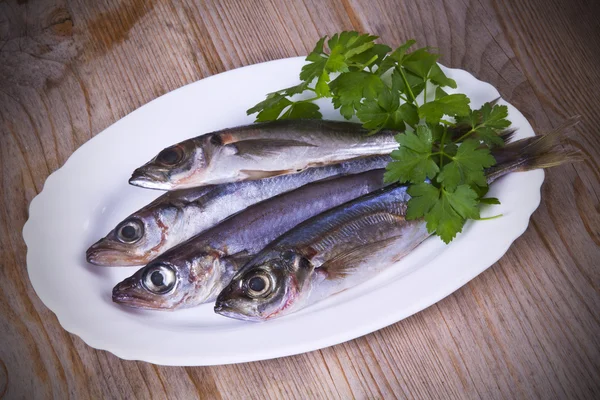 Välsmakande vitling och makrill — Stockfoto