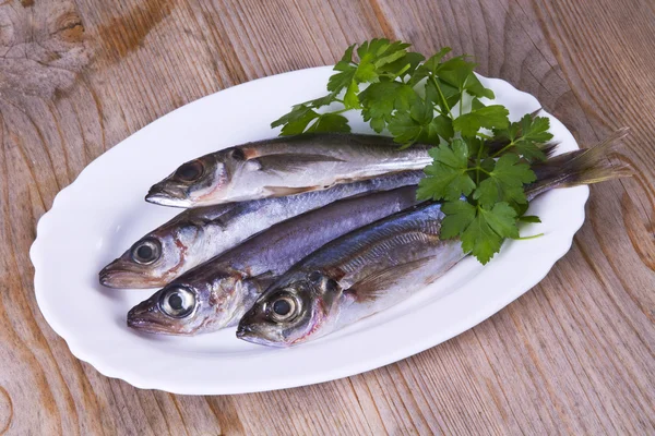 Badejo saboroso e cavala — Fotografia de Stock