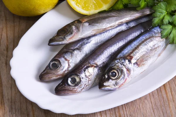 Puha tőkehalat és makrélát lemez — Stock Fotó