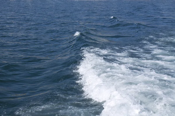 Deniz deniz uyan — Stok fotoğraf