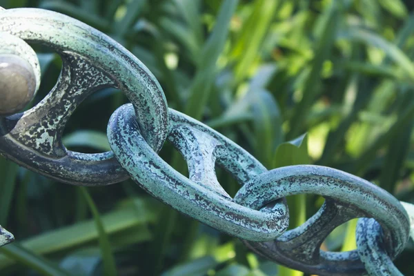 Cadena sobre fondo verde —  Fotos de Stock