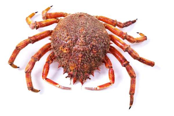 Meeresfrüchte, Krabben isoliert — Stockfoto