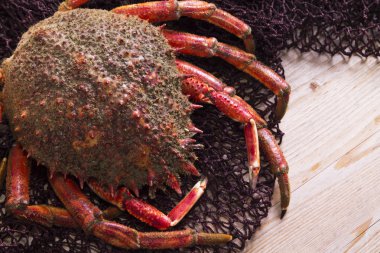 Balık ağı Yengeç